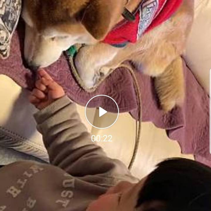 9e7f6019 6643 4444 9d87 3d6493b0da88 1611811898829