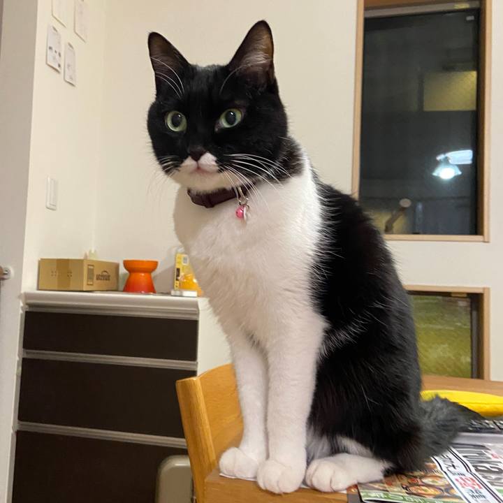 9e7f7564 68aa 4fe7 ba03 1b8f2448454d 1643932441702