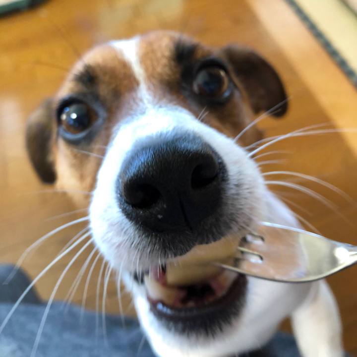 9e7f9eeb 9998 44c3 b1a4 b7af99805a30 1568417222699