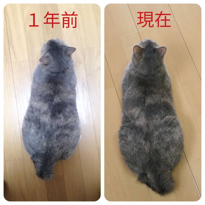 9e7fb630 255e 4a96 a6e2 86605322b9b6 1529812226260