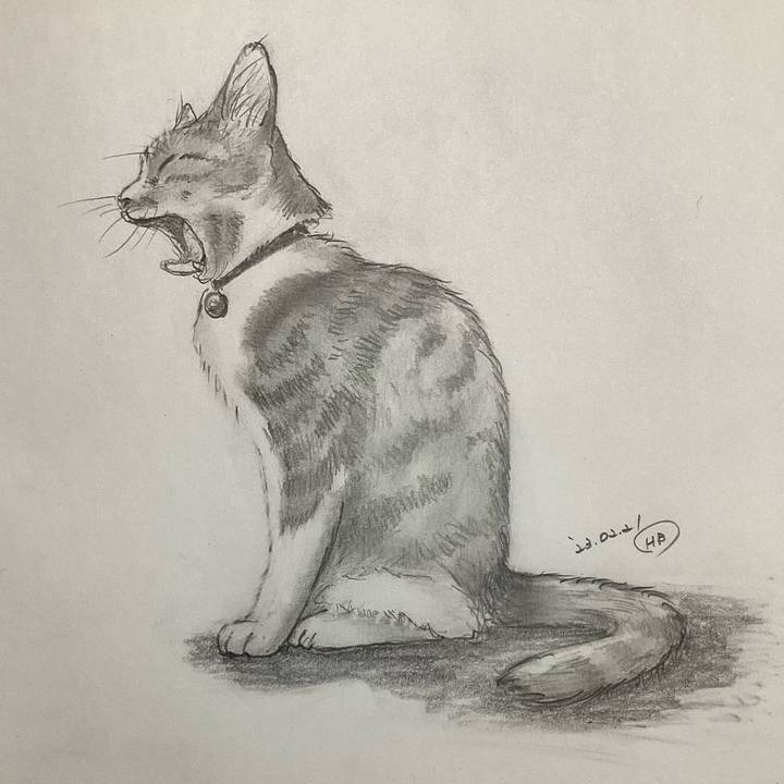 9e7fc7c5 2471 4c73 8249 9b6aec223fdc 1677148872854