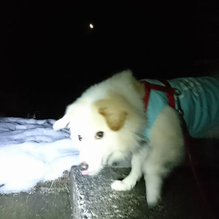 9e8018fa 85ed 4a07 b7cf 9bc0cdaae957 1518209078427