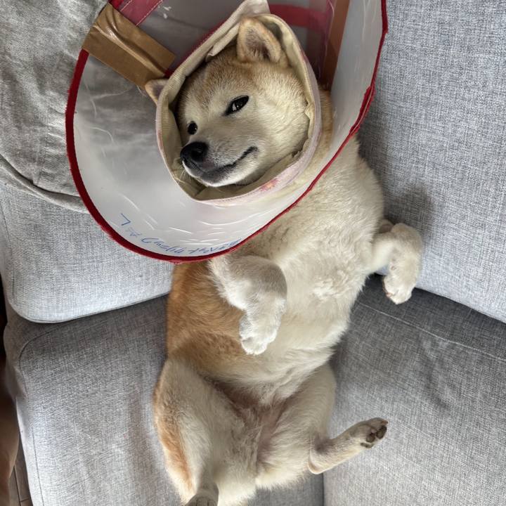 9e801e09 126b 4161 924b dd11a875a961 1757668604743