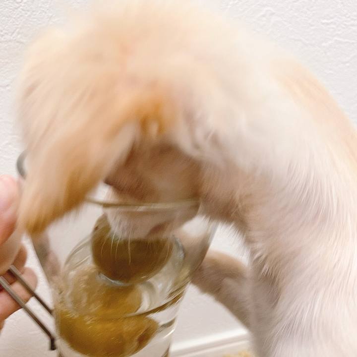 9e809415 626b 4419 8654 633a11bb4bd3 1593070183592