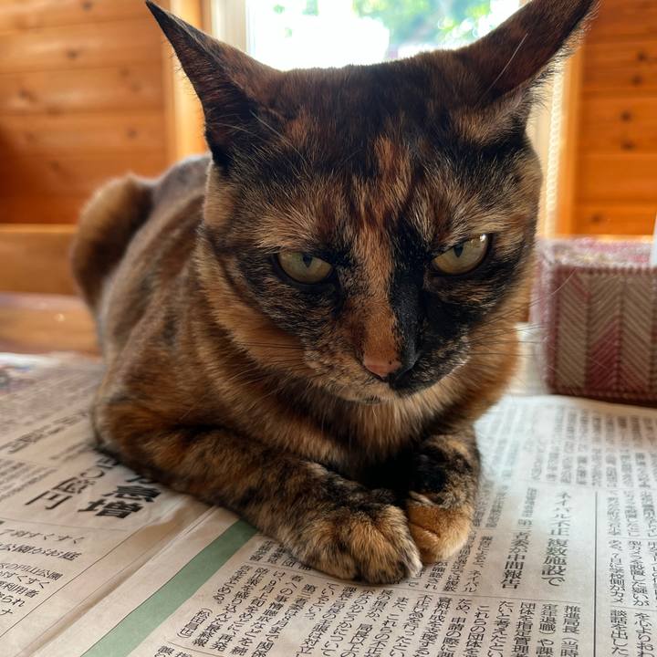 9e80a5fc 8ea3 4b84 98e8 6177d8e4e72d 1654902128172