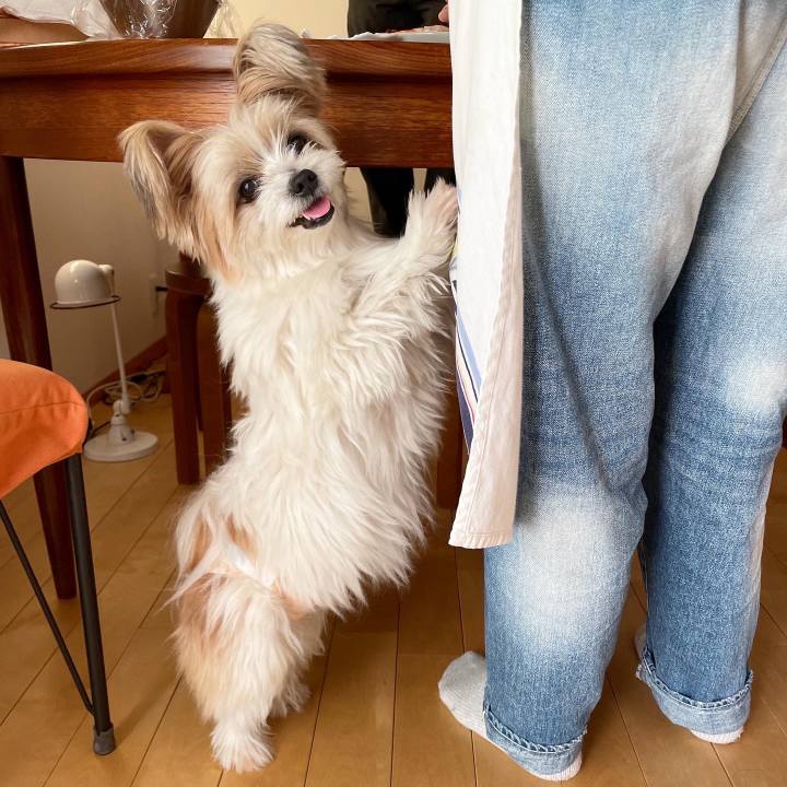 9e80f989 6d16 4161 8b09 b44b7553b793 1640133361069