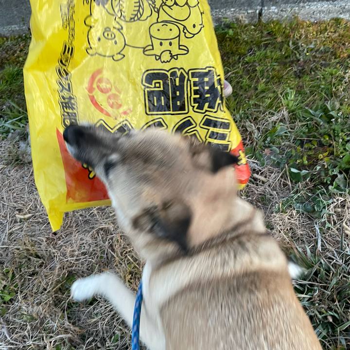 9e80fe08 f5e8 4fb8 800b ea5640de6bdb 1672145184780