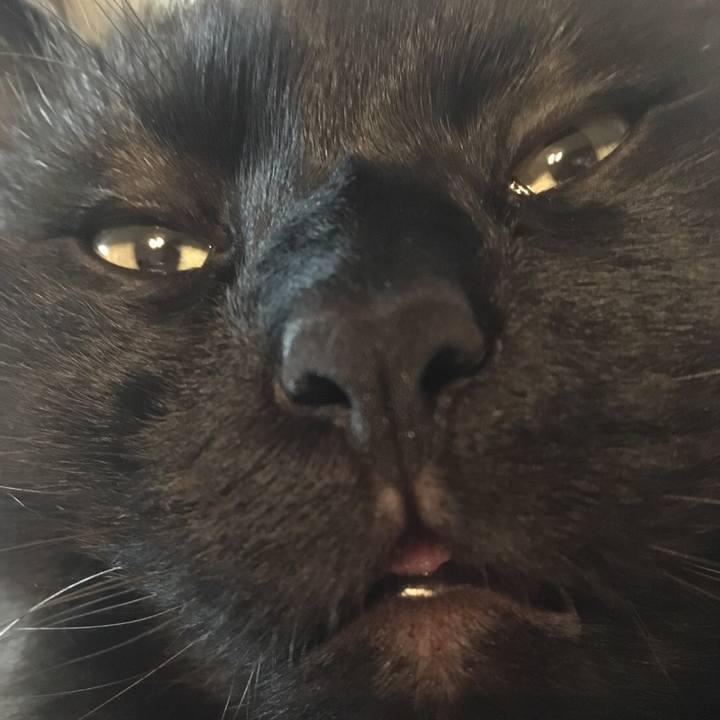 9e810d1d bf2a 4a08 b485 cd96021a8f57 1548242871940