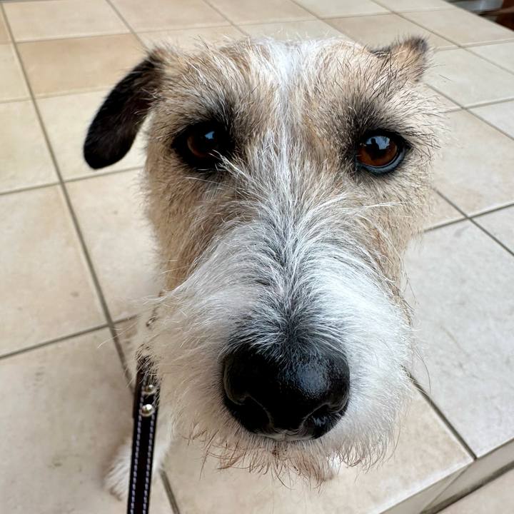 9e8137c3 a5b9 4687 9a74 07f165f1ca2a 1740752056293