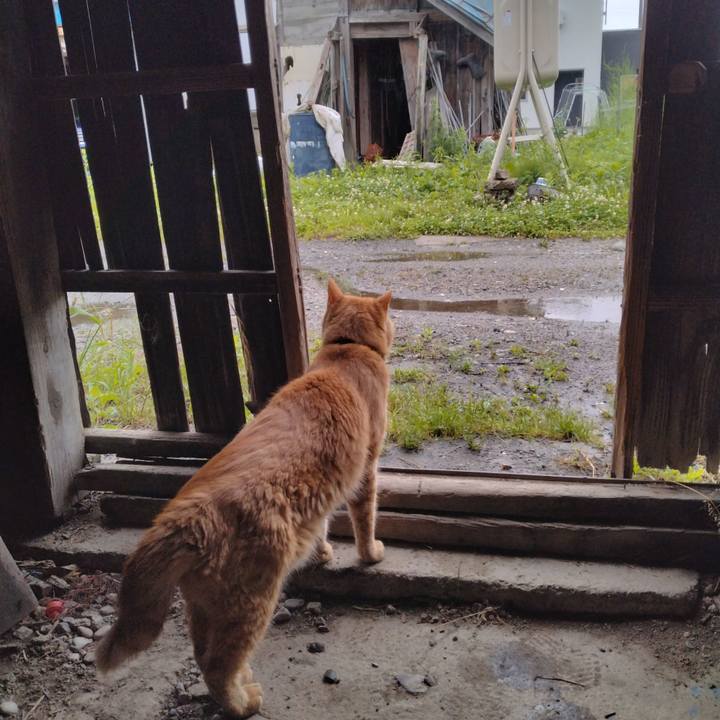 9e813889 80be 4ef4 af4e 26022fbbdf51 1688165279716