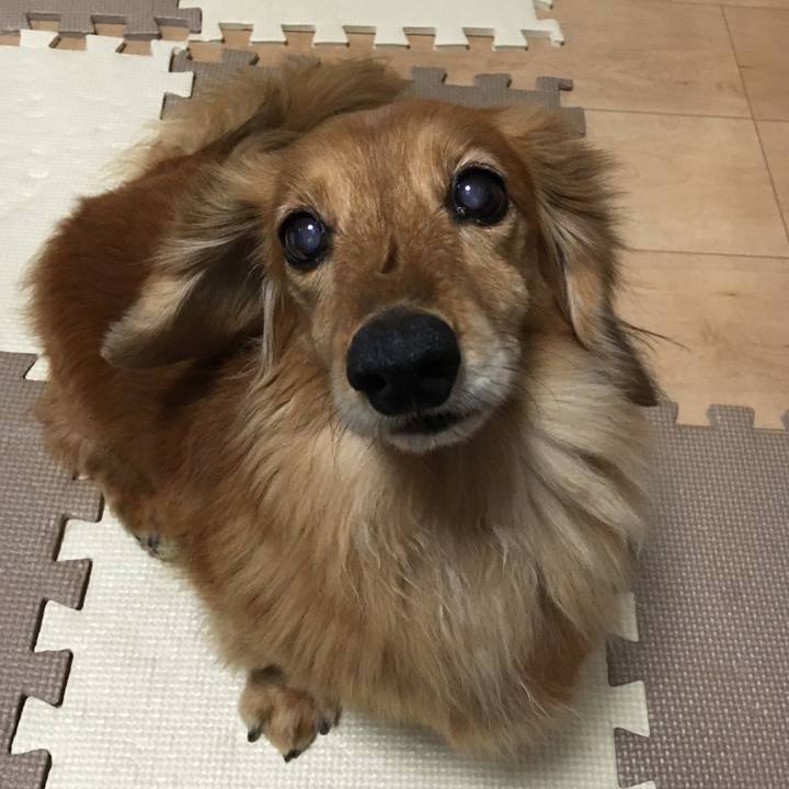 9e8148a1 61ca 4173 9038 1804256827e3 1614428683910