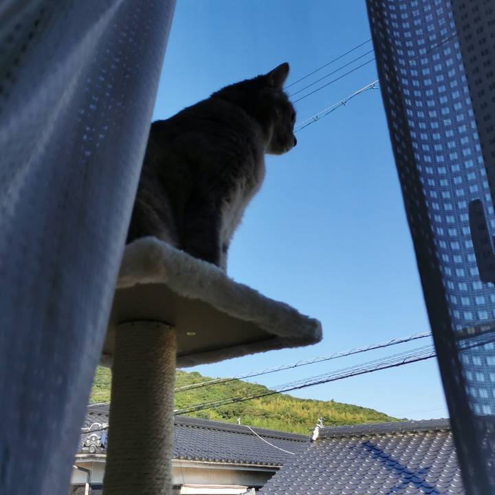 9e81784b 00da 4d64 9f0a ccc0544d911e 1627269860198