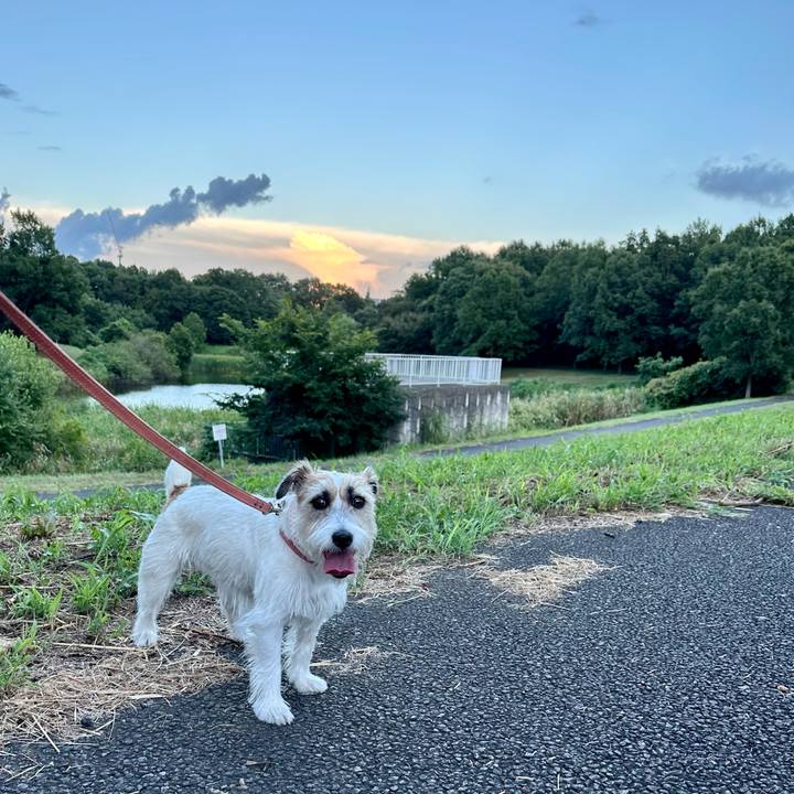 9e819e0e 6353 4988 b73c fd0fee2a803b 1693043880866