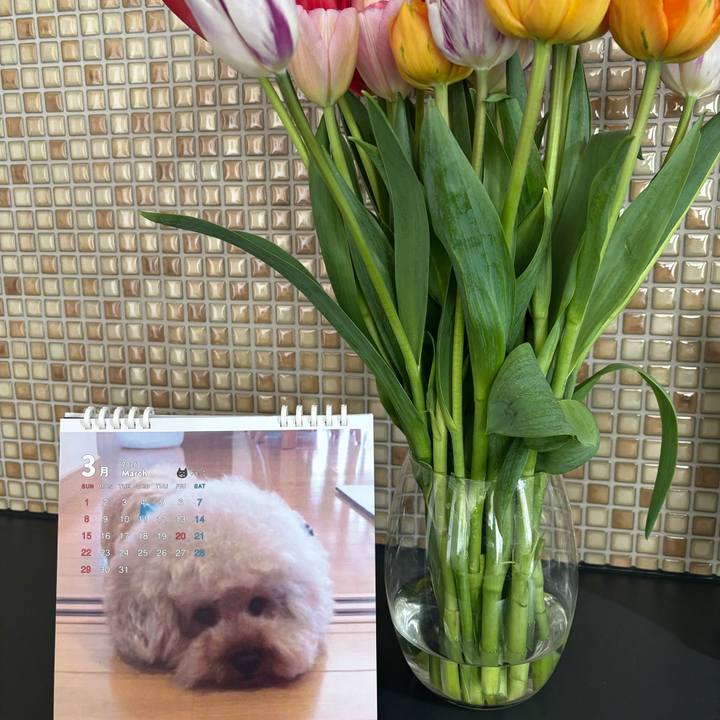 9e81a9d8 85e0 46ef 9a25 e79c2b769e58 1772319997399