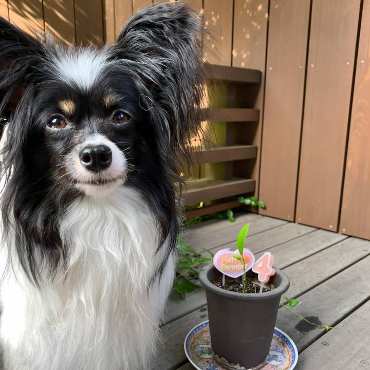 9e81bdaa 9800 469a 84a2 e8b93bfe38a2 1560483288994