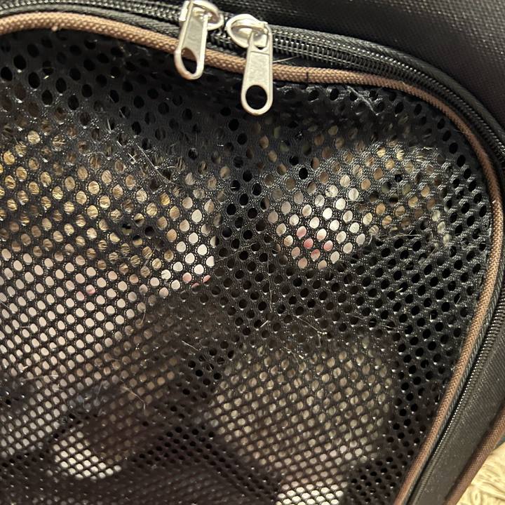 9e81be05 3750 45d2 83a0 cac3fc4c322a 1726287878000