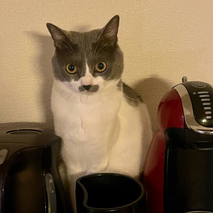 9e81f2aa 6e2c 4bde b10f 8ccecd3ce6bd 1637548118883