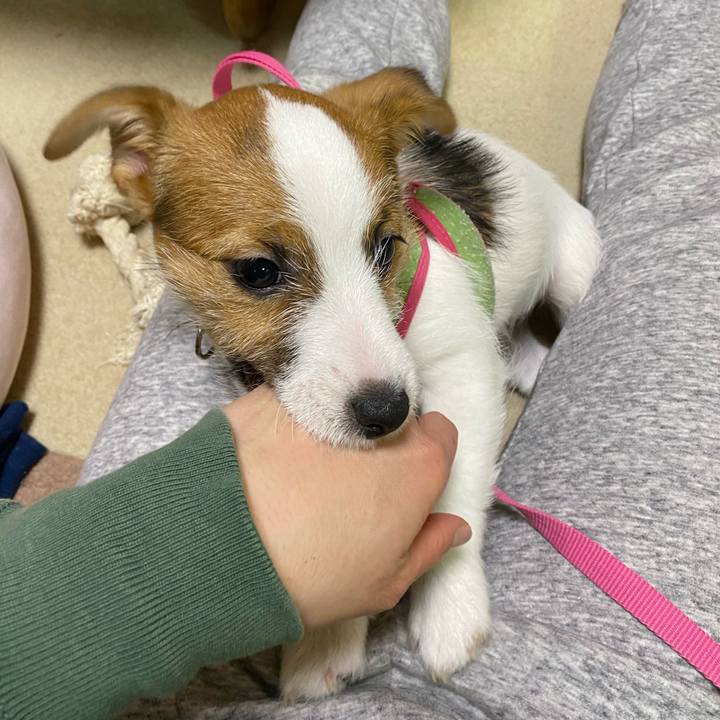 9e8207e2 5187 4d77 a752 3e83a4b479cd 1612353671369