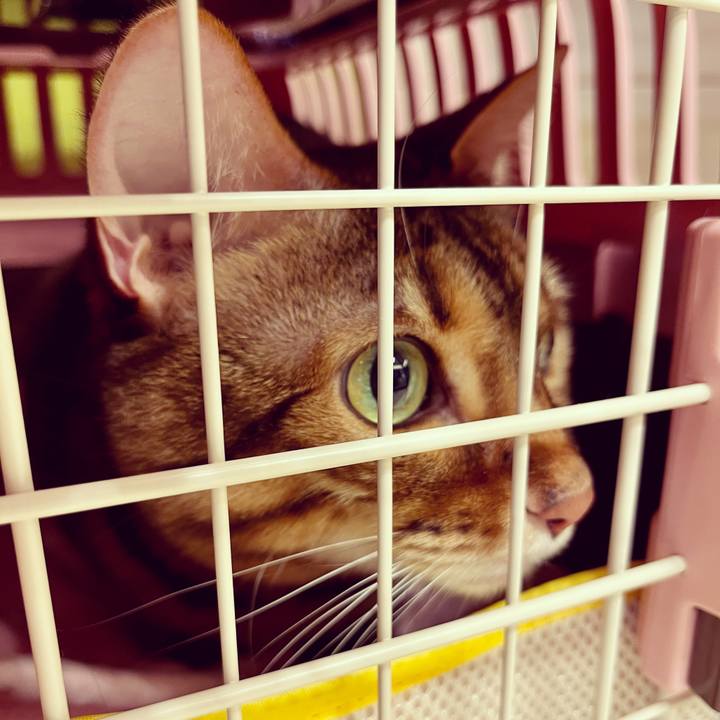 9e821072 d921 4043 a05c b25ac1454550 1646175320610