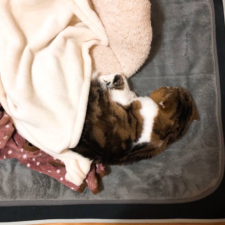 9e821f77 55c6 4c51 9d35 e72d3821de33 1548427513088