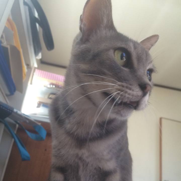 9e82203c 2780 4a7e 8341 caf08893099f 1534284693095