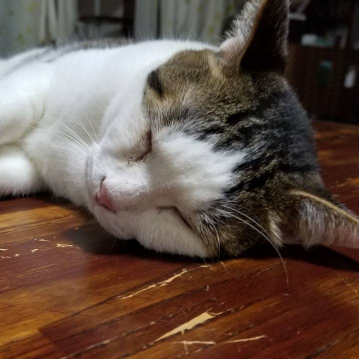 9e8237f6 a508 4717 8298 436b0315c6d1 1596882671257