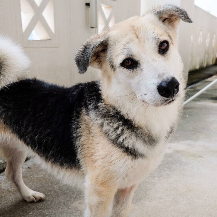 9e824de1 57c6 4a54 95f5 32bcb3dc1633 1545018359919