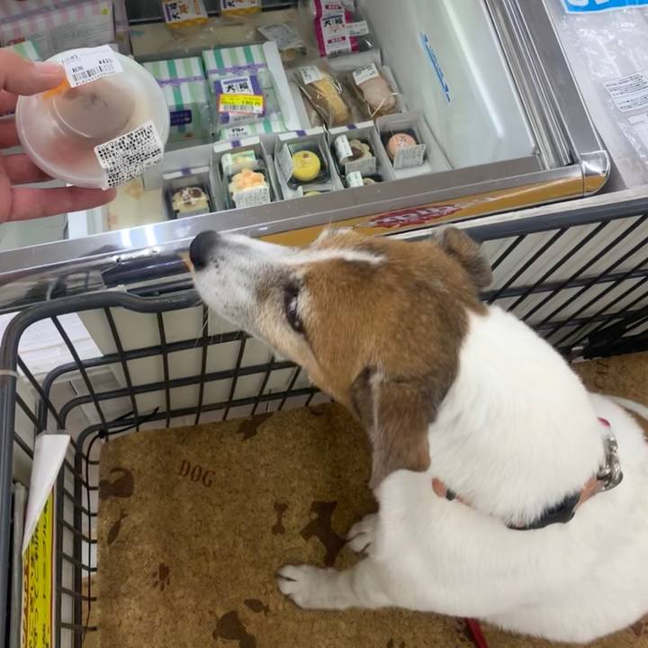 9e825a42 aad2 417d 9728 4c3d74a87f6b 1561810335105