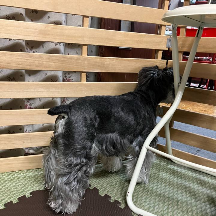 9e82687a 8952 4469 9e7f 99ca6560ebf7 1716299515608