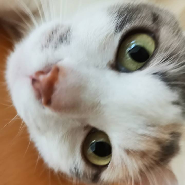 9e826950 1bc6 45b2 a08f 34bf1d82bff6 1652672971907