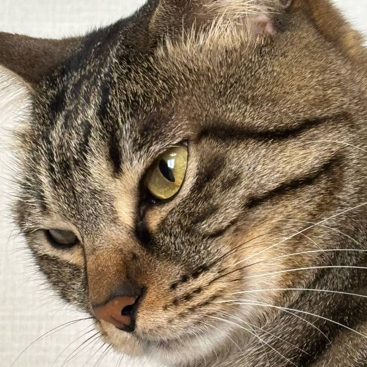 9e827823 cf20 4432 a776 b394d5cb9393 1773454088931