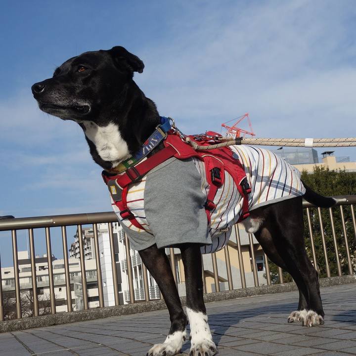 9e82822e 91fd 46b4 a819 a0237c6d8e78 1678411286147