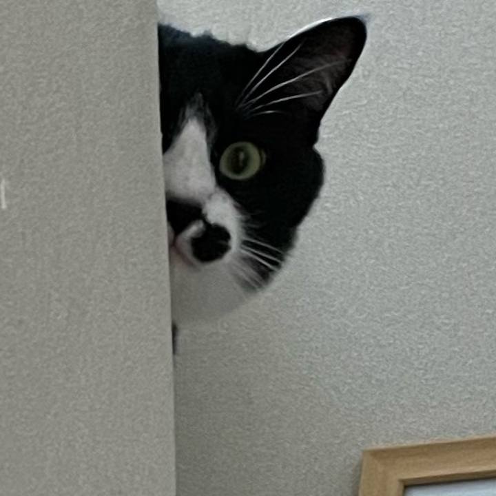 9e828661 baad 40ce a193 18b959fbbcc5 1685410371933