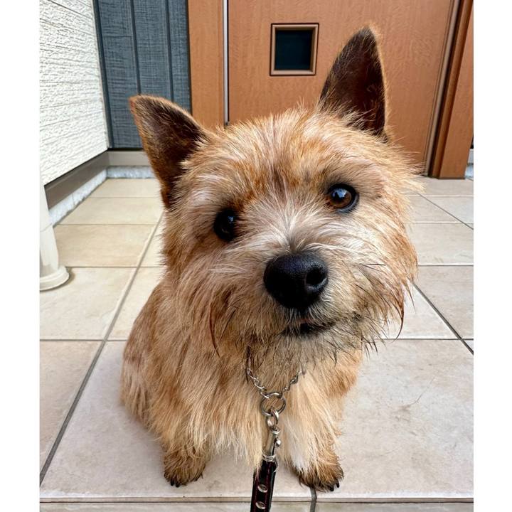 9e830c8a 9d3c 4aaa a88e 6c99acff09cc 1740751807918