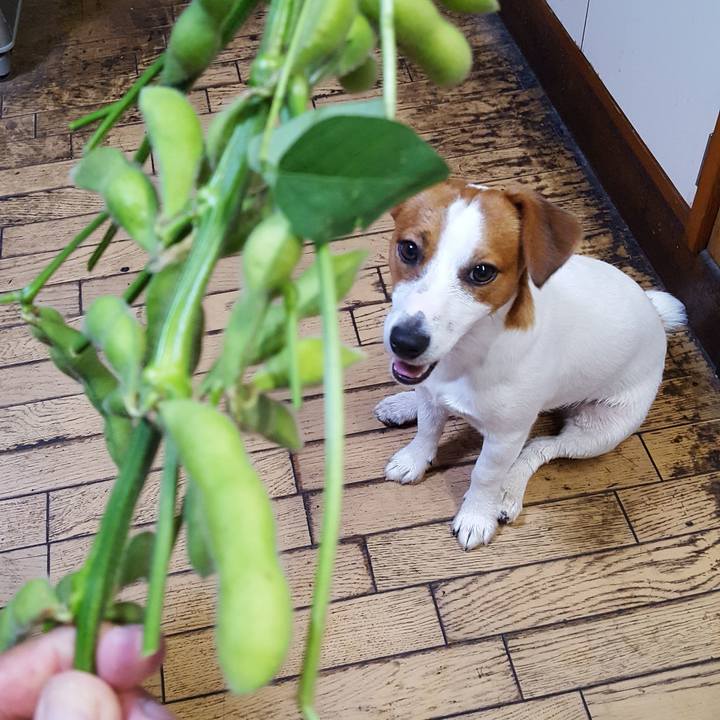 9e831c58 1c9e 4d75 bb7c 9612ba80d12e 1565067839939