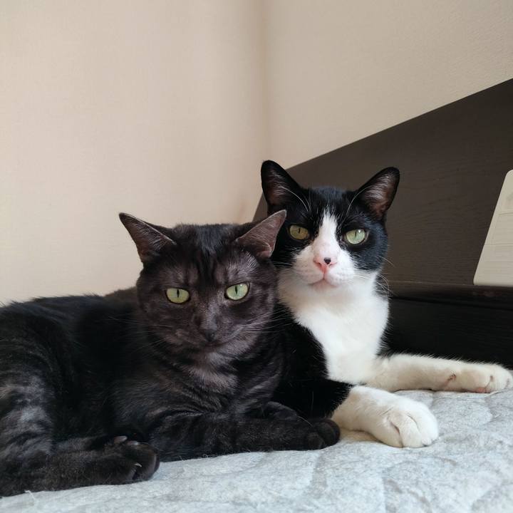 9e83276e 1afb 49ed 8b0e acd630a44937 1759880679131