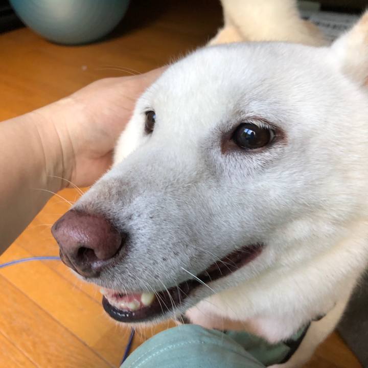 9e834dd5 d72b 49f7 88be ff697365b78e 1694727611039