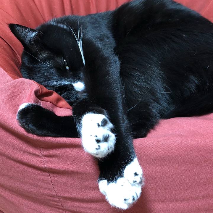 9e83985e 66ba 4457 906c 75ba85e148fa 1640662802762