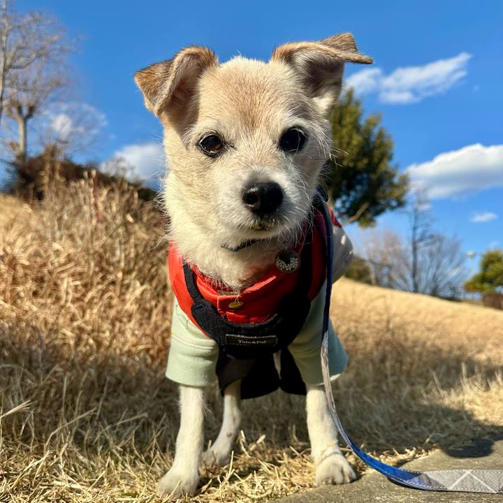 9e83a77e b8f7 42db a5d4 2d33726fd4f2 1770027046963