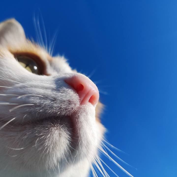 9e83eff3 54c8 4a75 a6f9 f4c8d9949f40 1543723704894