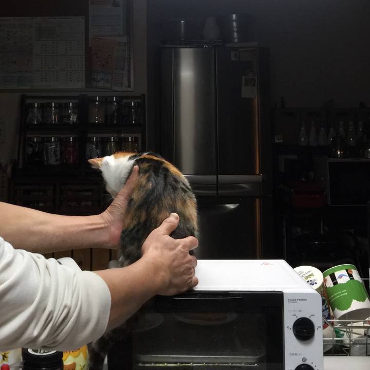 9e83f06a 924f 4681 b557 d7da29f8ce2d 1637322598263