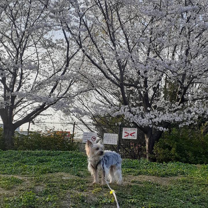 9e840855 b3ae 4a87 8de7 c4e5a4f96aaf 1680330547501