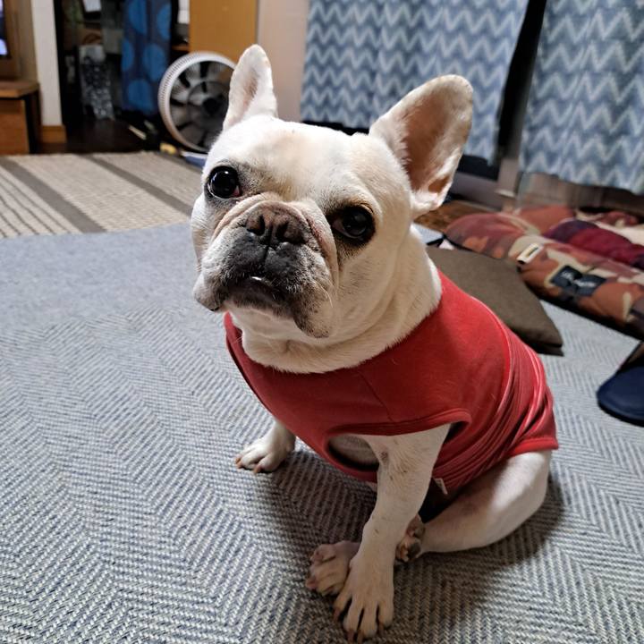 9e840c87 b2a8 48e4 9363 609524afc7d6 1760615694794