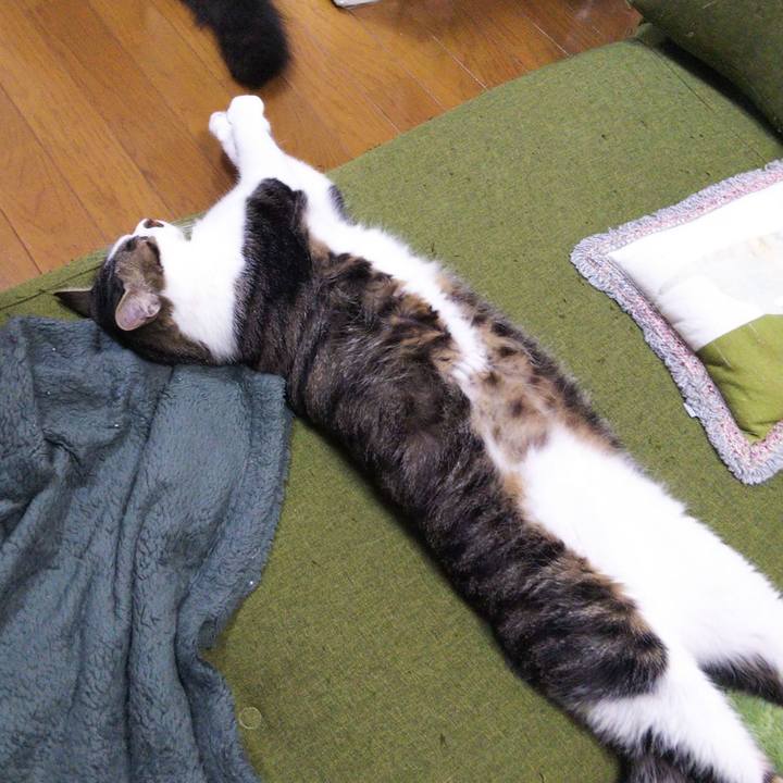 9e843c62 192e 4463 a341 61533b8e87cd 1649226719619