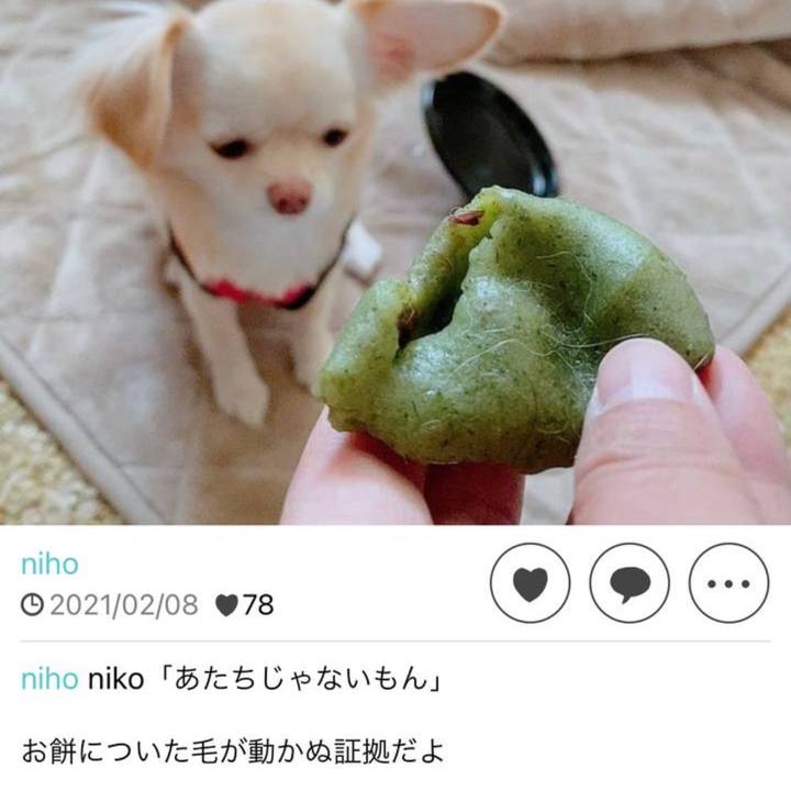 9e844a97 ae56 41ad a487 5f3dce759b97 1739097654250