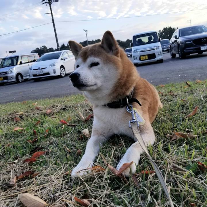 9e845eb3 7ba4 4776 89f8 1bfa3c8a964d 1665819327025