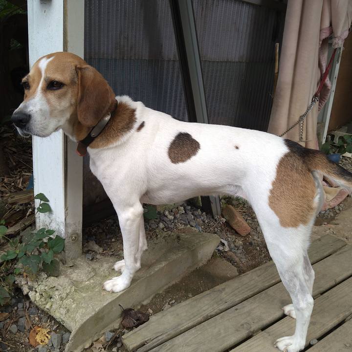 9e846e91 807e 45b5 97ae 47f543c1780c 1632312546117