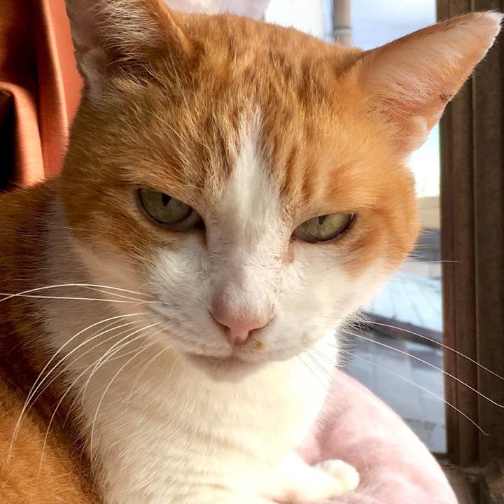 9e84cf82 363f 4829 9ba7 be073cb17c9c 1575018000513