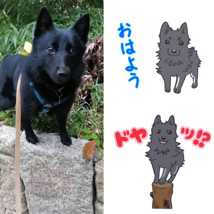 9e84eb5a 5524 4487 aa07 7a74829eca03 1665186208040