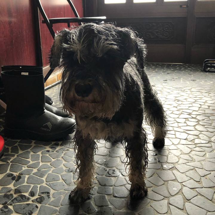 9e8549b2 8045 4541 ae83 e30914de8fe9 1617516988379